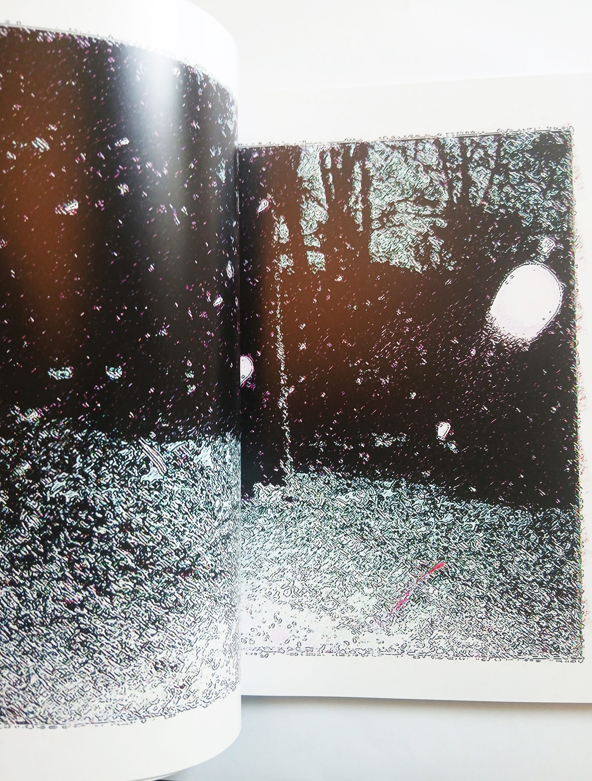 Magazine 'Trut' (Limited Edition) - Afbeelding 13